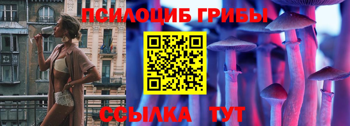Выборг  Галлюциногенные грибы Psilocybine cubensis  Вход с VPN 